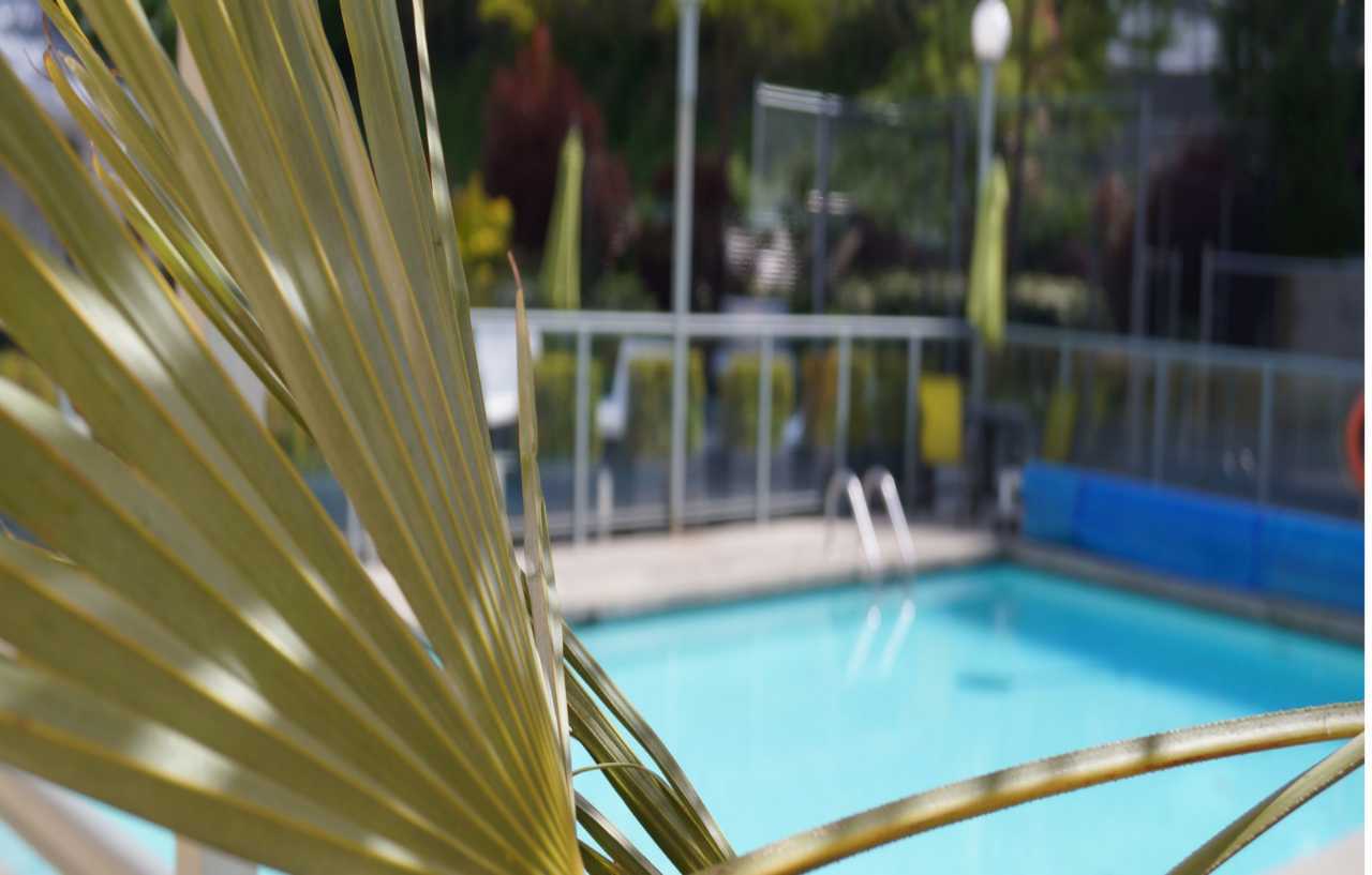 Executive Plaza & Conference Centre, Metro Vancouver Hotel 4*